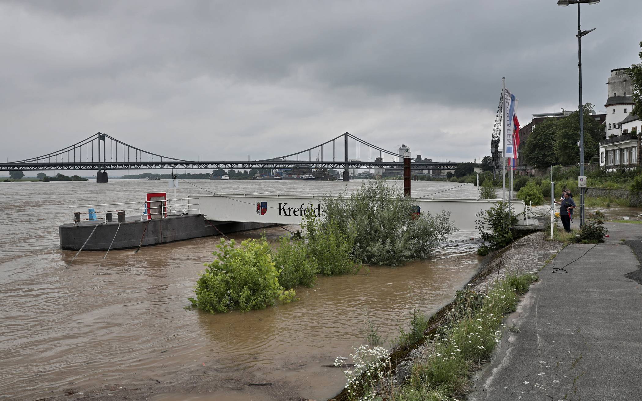  Der Rhein in Uerdingen steigt immer weiter. 